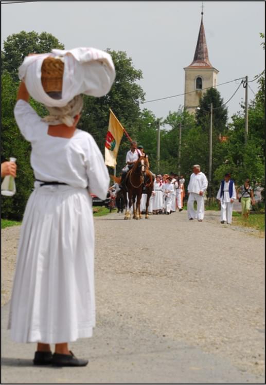 Zapovijed pod lipom