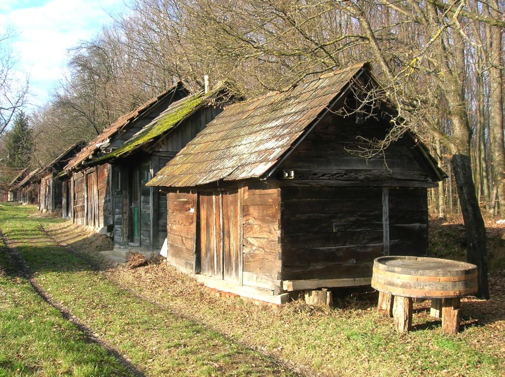 Moj zavičaj to sam ja - Dapci